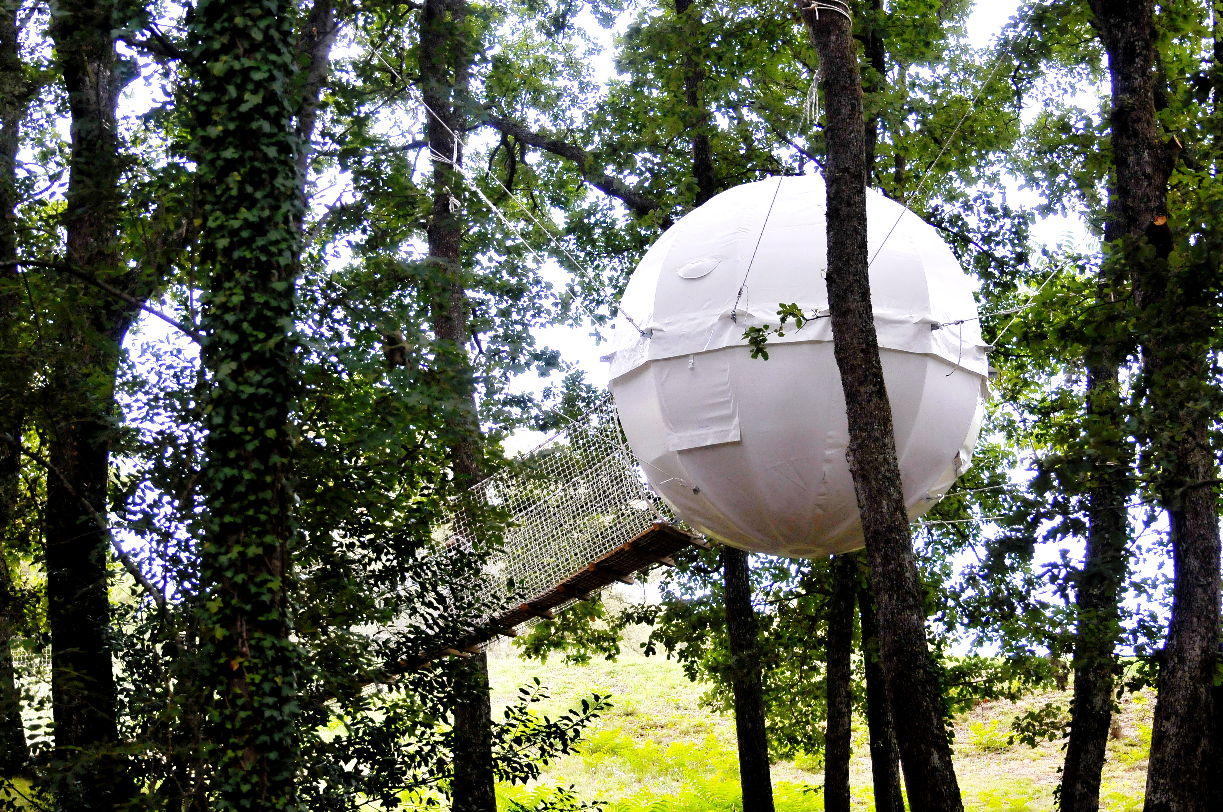 Glamping Namelis Medžiuose | Ekstremalių pojūčių megėjams