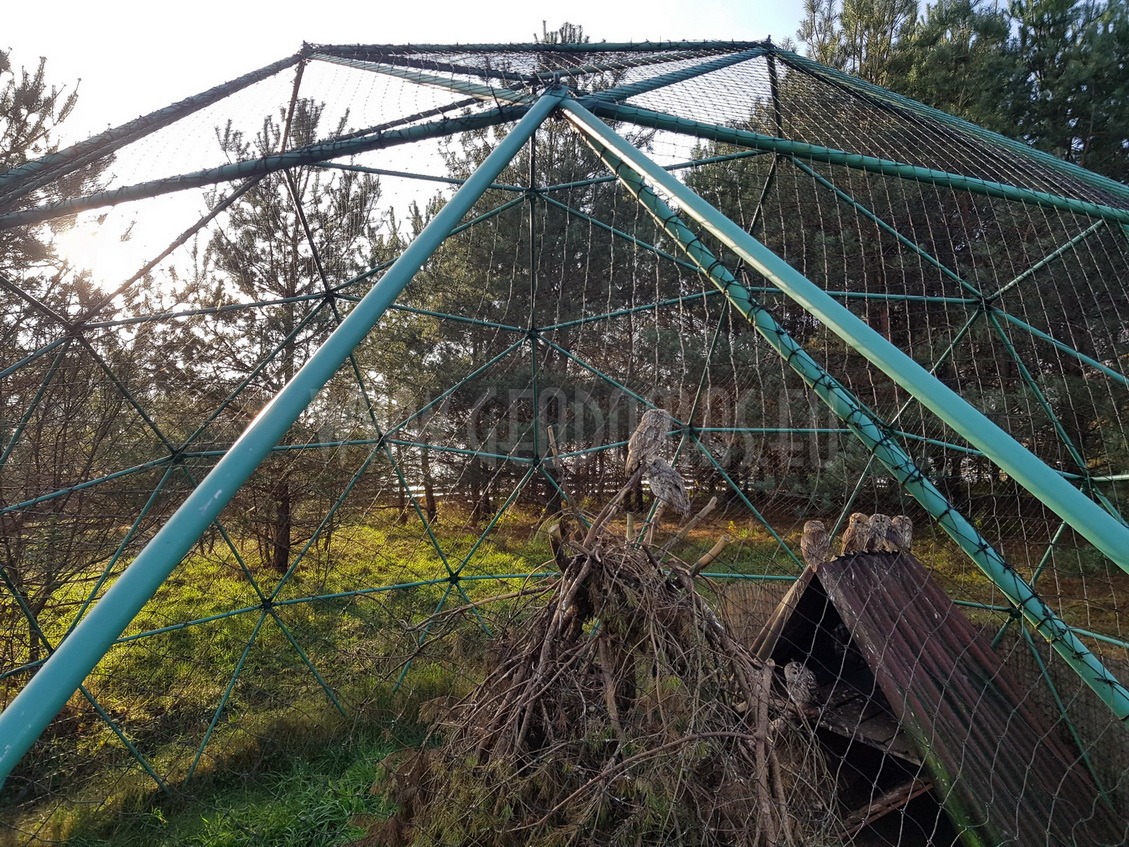 Ø6-Ø7-Ø30m Kupolai Laukinių Paukščių Reabilitacijos Centrui | Bukvald, Lenkija