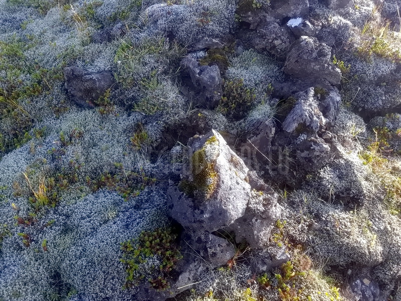 VR interactive/3D Scanning HATUN Farm | Suðurland Southern Region (Iceland)