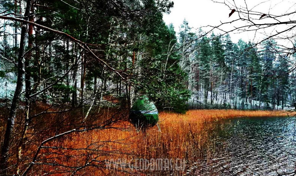 godomas_glamping_tree_CRYSTAL14