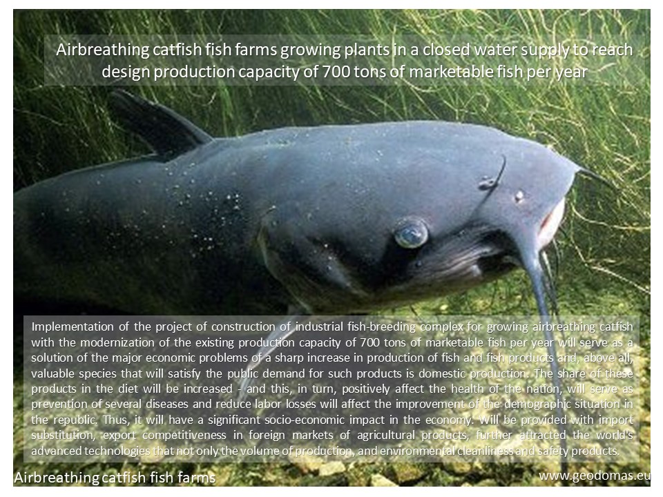 2700m2 Fishing Production Workshop 90x30x7m | Glamping Domes