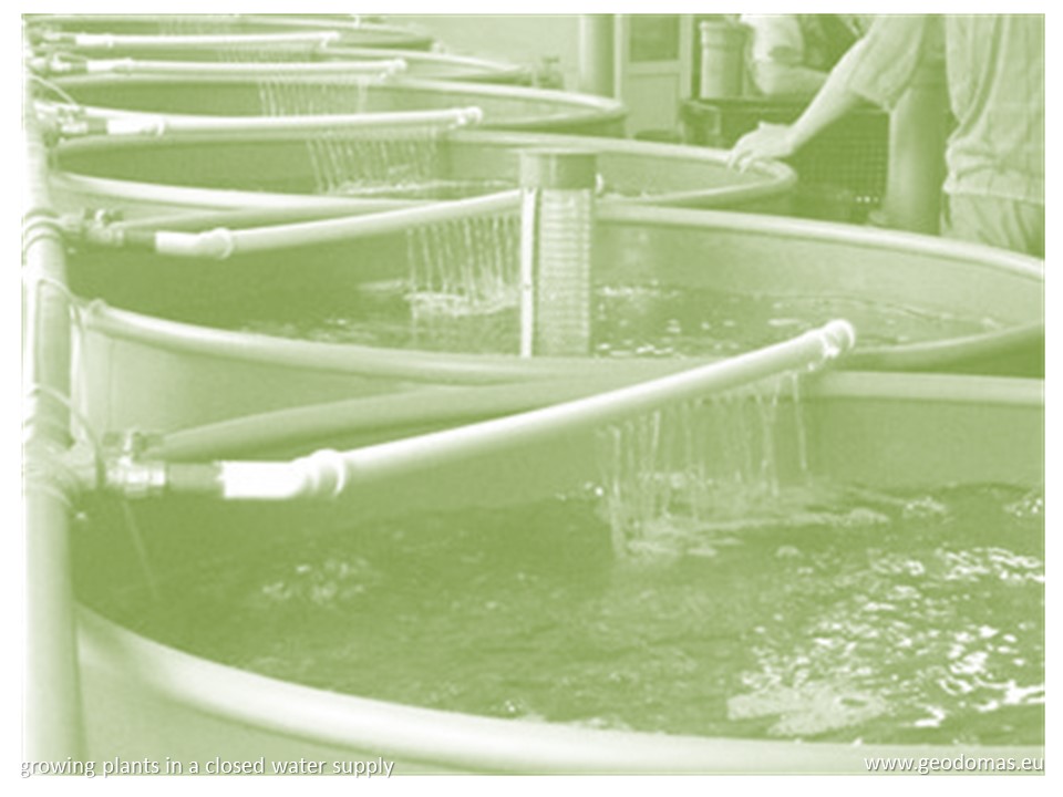 2700m2 Fishing Production Workshop 90x30x7m | Glamping Domes